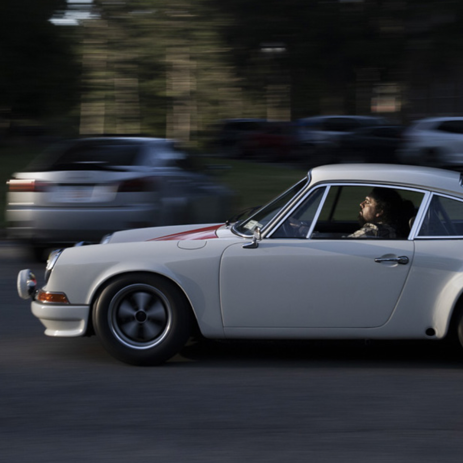 72911-zoomies-square